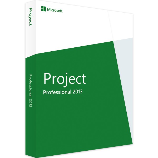 Microsoft Project 2013 Professional | für Windows